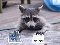 赌运奇佳！和这些星座打牌要慎重