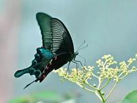 占卜你的情绪会影响力有多大