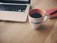 紫微看你是含羞草or墙头草