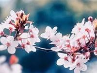 占卜你内心最害怕什么东西