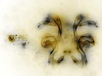 双子座简单的幸福