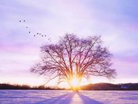 占卜当下你们的感情关系