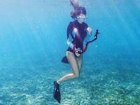 金爱伦2016年6月狮子座运势