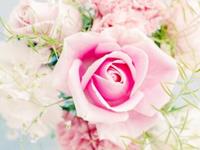 一朵花就能看清你的真面目