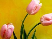 占卜你会如何度过那段分手日子