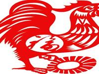 2016年的生肖禁忌—鸡