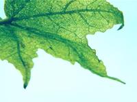 测你六月的财运如何