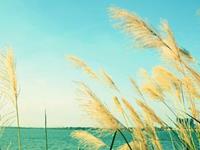 测测你这辈子会一直是穷人吗