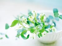 占卜你是在背后使坏的人吗