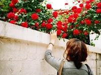 占卜你是否会遭到好友的背叛