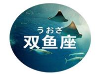 双鱼座该如何立足职场