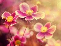 这些生肖充满着暖暖的正能量