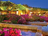 B血型君的秘密花园