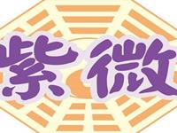 紫微斗数论命基本法则：四化寻契机