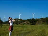 这些生肖君偏爱侧耳倾听