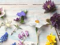 测你的恐婚指数是多少