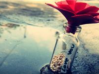 那些可以为爱改变的生肖君