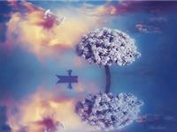 科学解梦是个什么飞机？