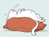 占卜你最近该改变什么