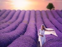 家有三生肖，人旺运更旺