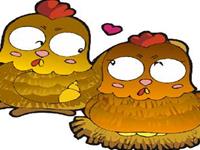 结婚之后，生肖鸡的担心