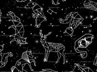 占卜你下一个情人是什么星座