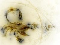 天蝎座是阴险狡诈的人吗