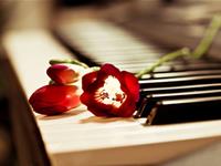 血型君，你最害怕的那些事