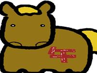 最适合生肖马的宠物