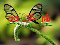 剖析双子座的真实性格