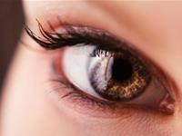 关于B型血君的眼睛