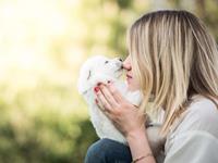 天秤座养狗之后