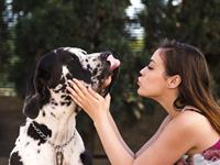 水瓶座养狗之后