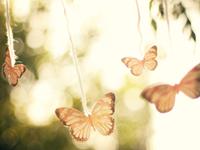 那些唯母命是从的生肖男