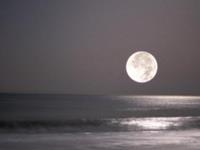 水瓶座满月对12星座影响