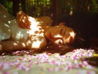 表面随和火气却大的生肖