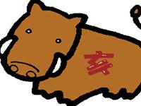 九月生肖猪的运势大揭秘