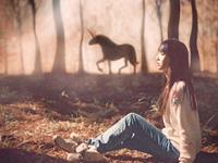 泓翔2016年10月生肖财气运势