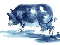 生肖猪什么年龄段有可能一夜暴富