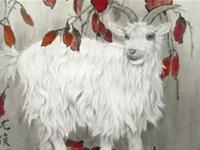 属羊男会拿什么爱你