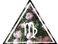 处女女对啥事情最偏执