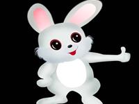 生肖兔年底前哪个月财运最好