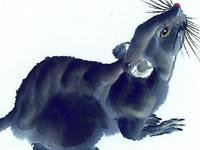 专属生肖鼠的人的风水