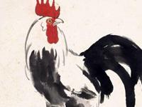 生肖鸡关乎前途的建议