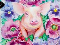 生肖猪对待爱情的心情