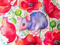 生肖鼠年前不可错过的好机遇