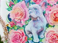 生肖狗年前不可错过的好机遇