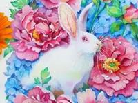 属兔2017年运势及运程 属兔人2017年每月运势