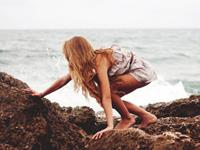 Julia Chen 2016年11月十二星座运势