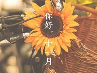 生肖猴，你的十一月职场备战